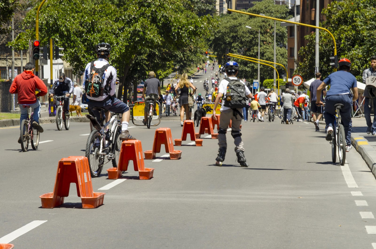 Chapibici y Baca’n Rola: dos frutos del territorio ciclista en Bogotá
