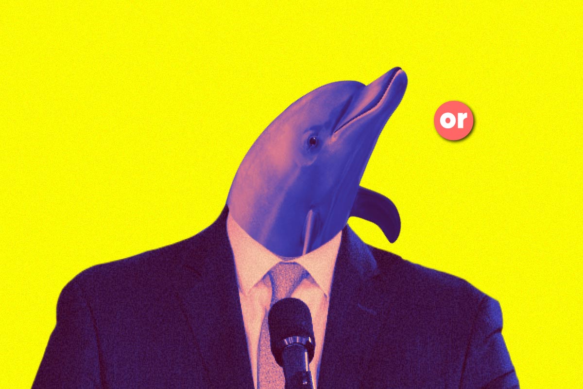 El Delfín (y sus delfines)